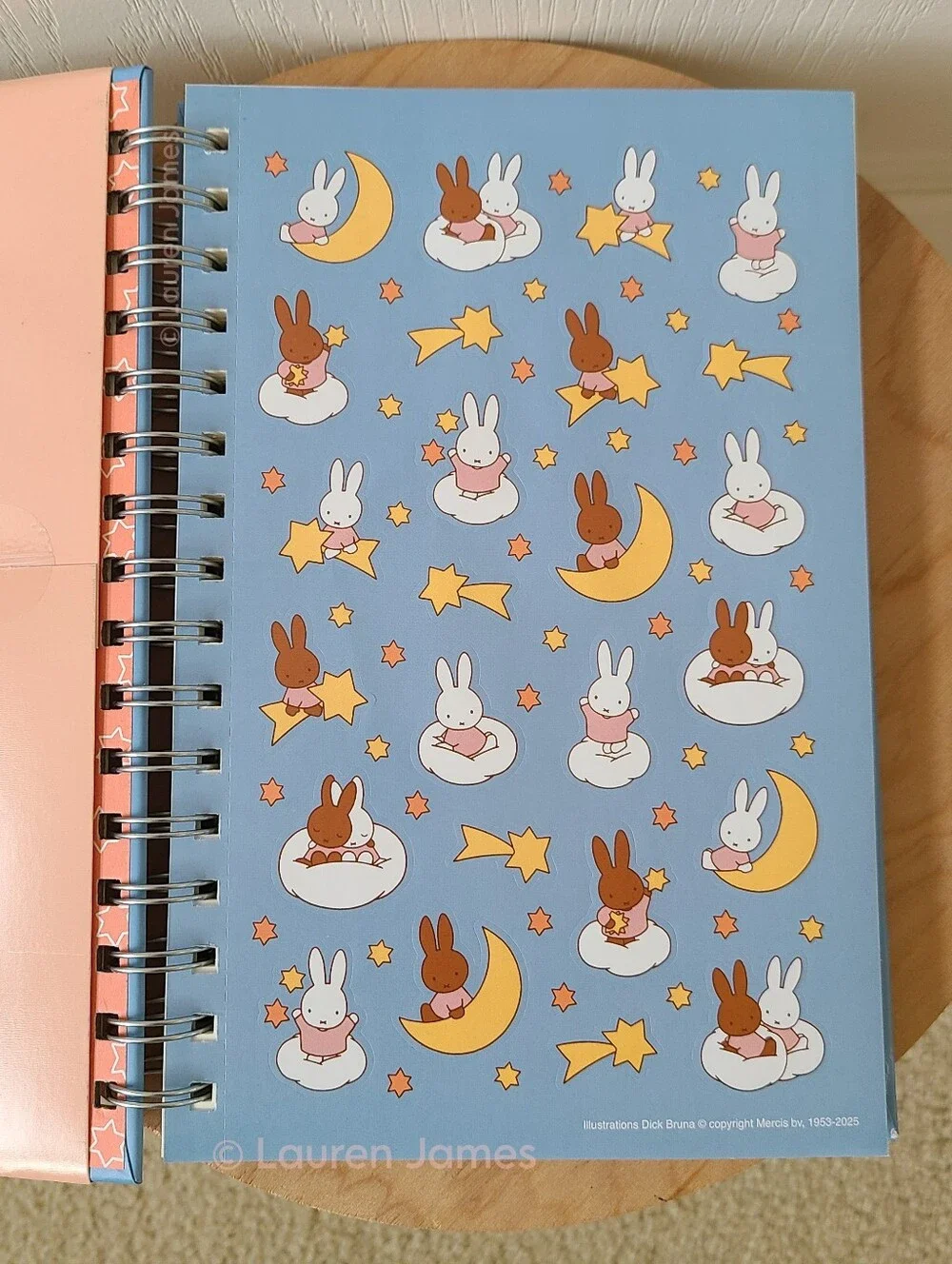 Miffy Blue and Green Notebook Set